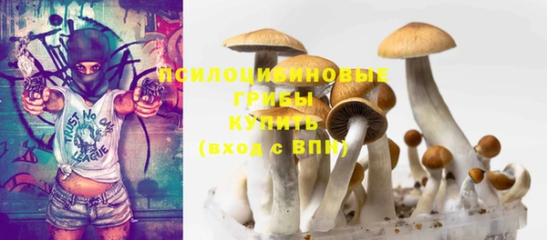 СК Нефтегорск