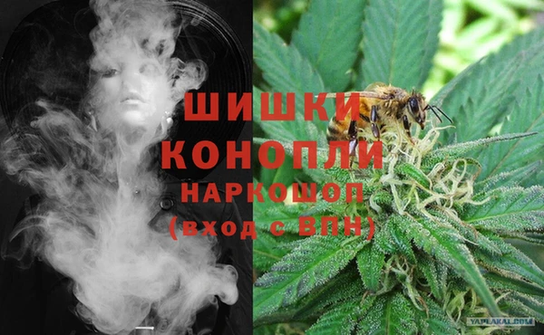 СК Нефтегорск