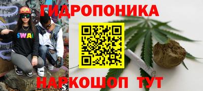 стафф Мариинск