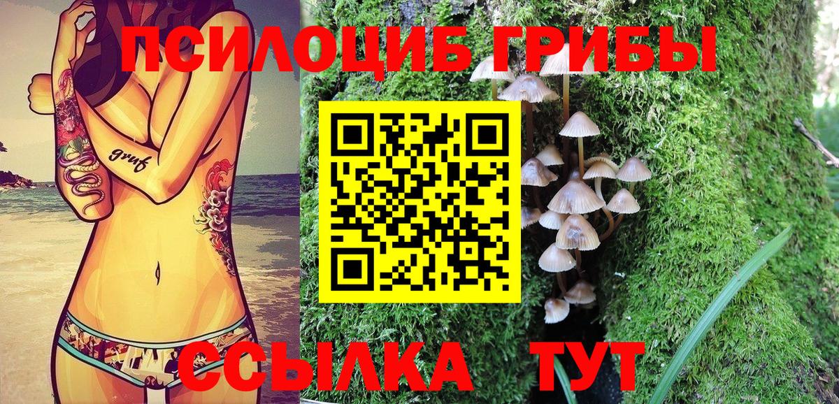 Нягань  Псилоцибиновые грибы мицелий  Вход с VPN  Галлюциногенные грибы Cubensis 