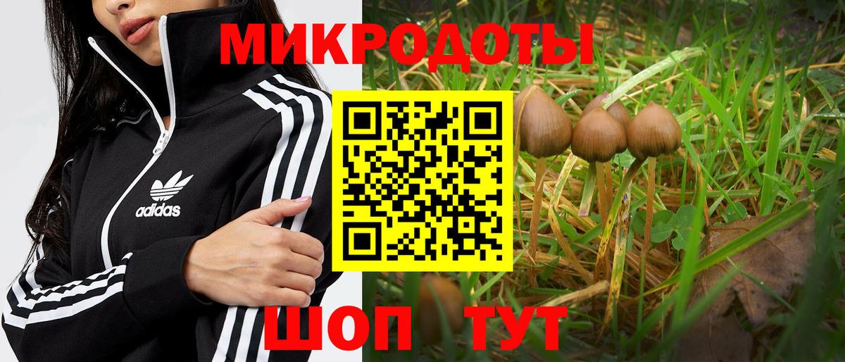 Галлюциногенные грибы Psilocybine cubensis Нягань