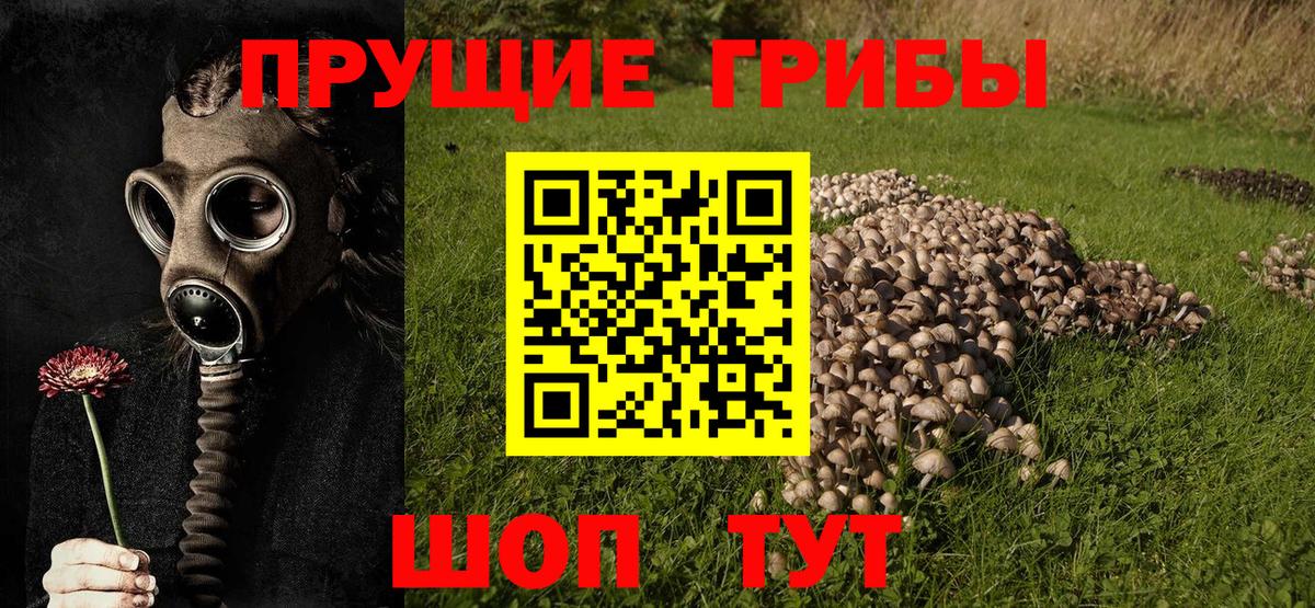 Псилоцибиновые грибы мицелий  Нягань 